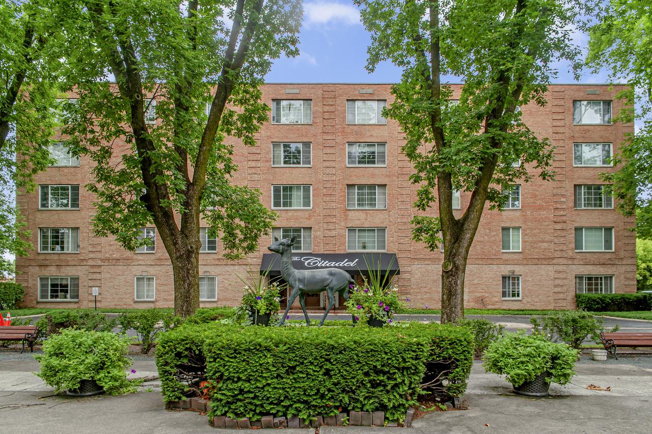 1455 S Shermer Rd. #208C, Northbrook, IL 60062