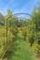 New Homes For Sale This Week in Long Grove: August 22nd to August 28th