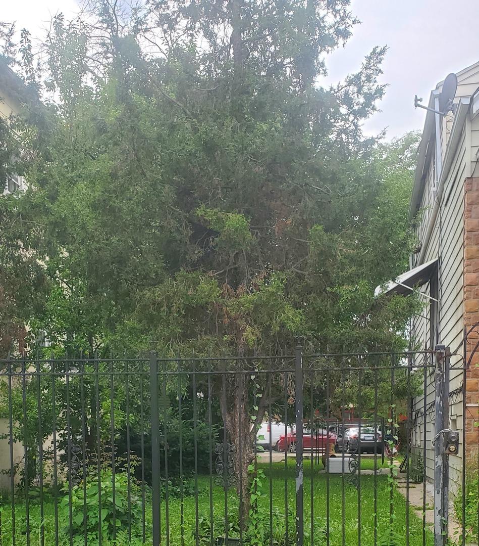 1748 N Harding Ave., Chicago, IL 60647