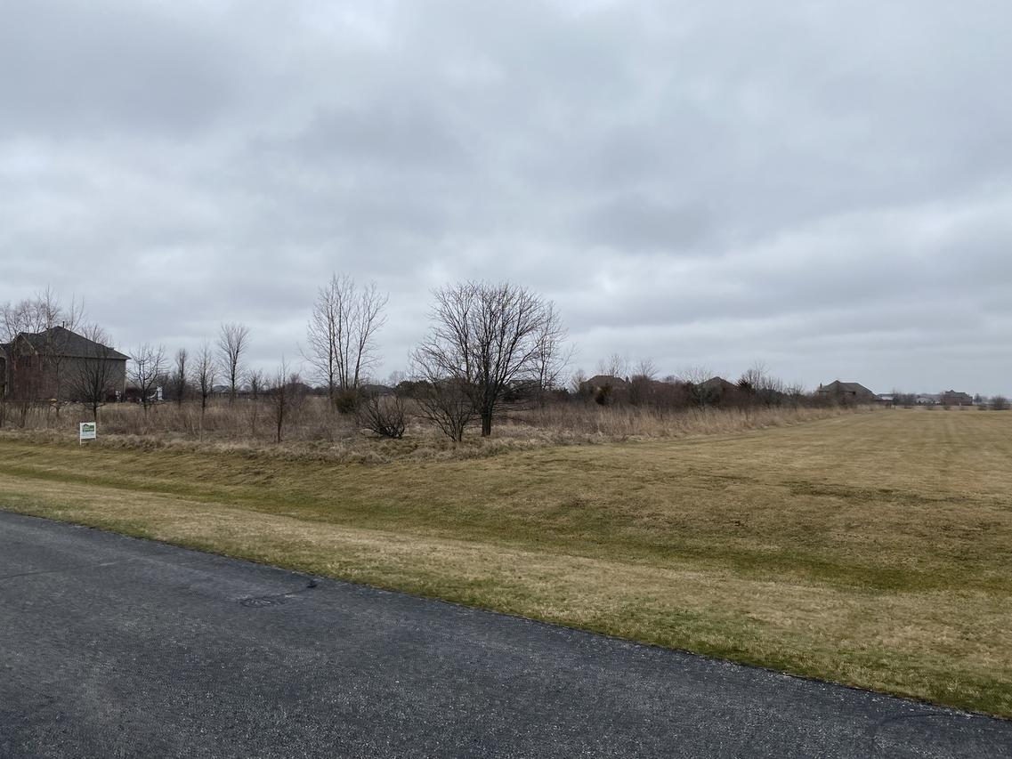 26863 S Wildgrass Turn, Monee, IL 60449