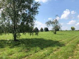6N353 Autumn Ct., St. Charles, IL 60175