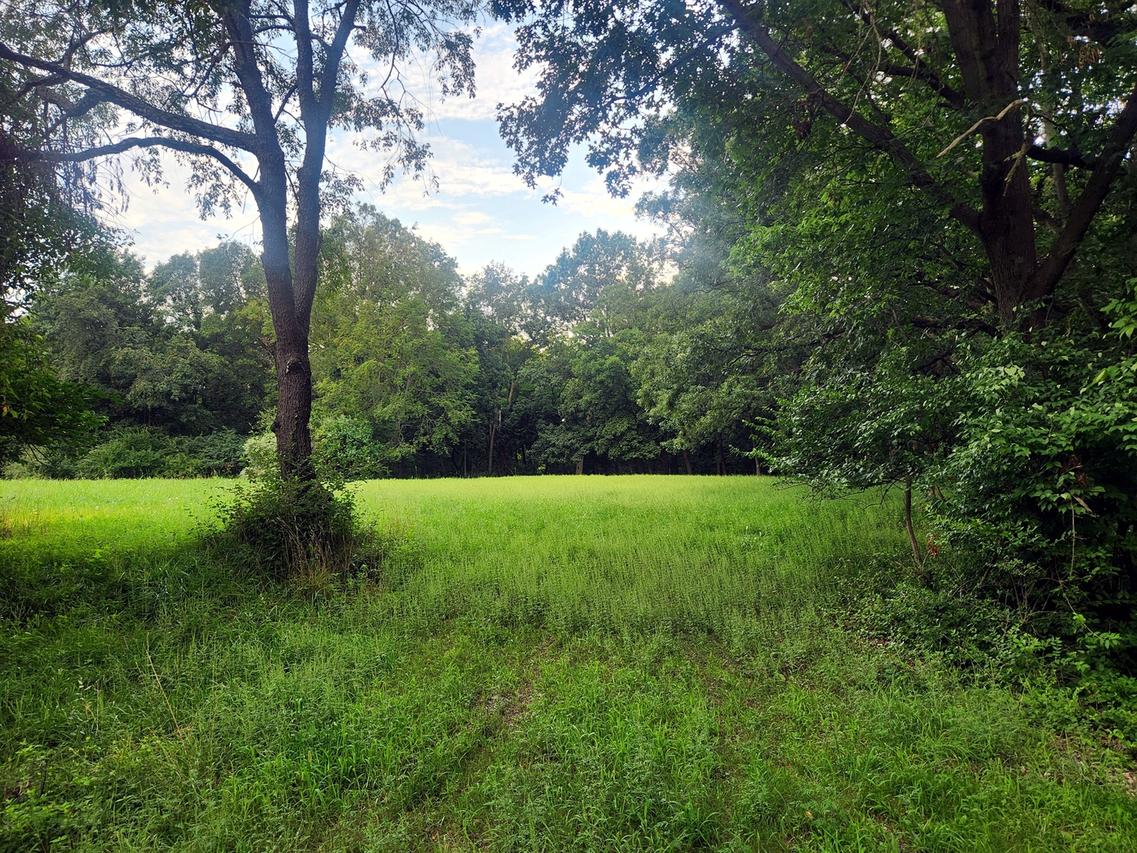 Lot 595 Cardinal Dr., Varna, IL 61375