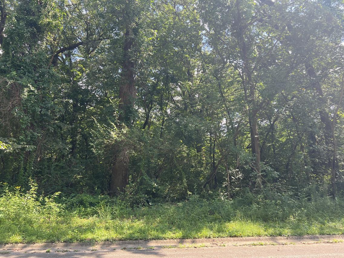 14455 W Wallingford Tr., Manhattan, IL 60442