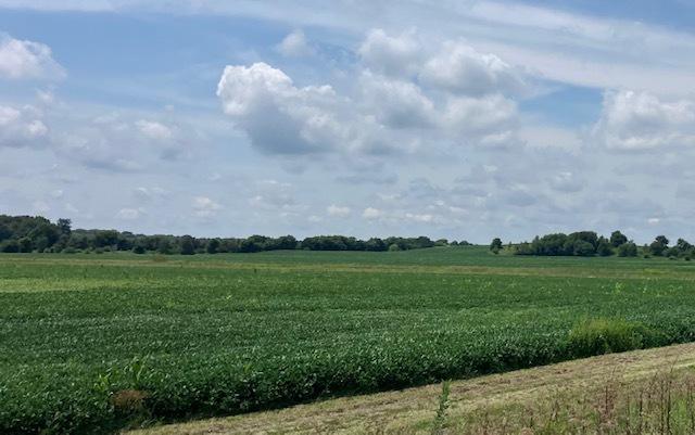14651 1200 East St., Wyanet, IL 61379