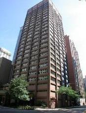 247 E Chestnut St. #802, Chicago, IL 60611