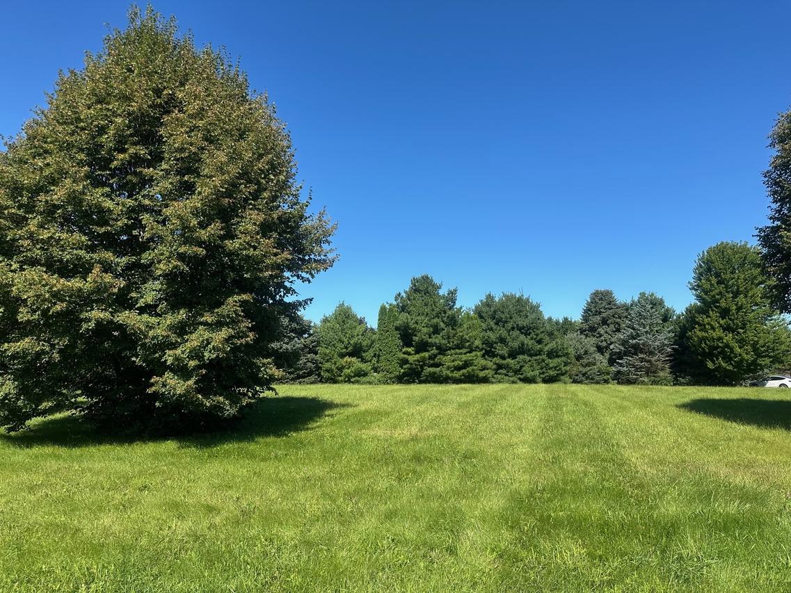 00 Cals Ct., Harvard, IL 60033