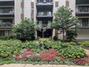 New Homes with Master Bedrooms on the 1st Floor in River Forest: August 23rd to August 29th