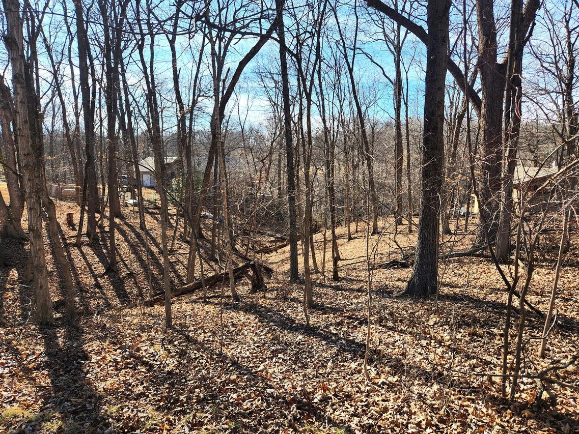 Lot 1673 Lakeside Ct., Varna, IL 61375
