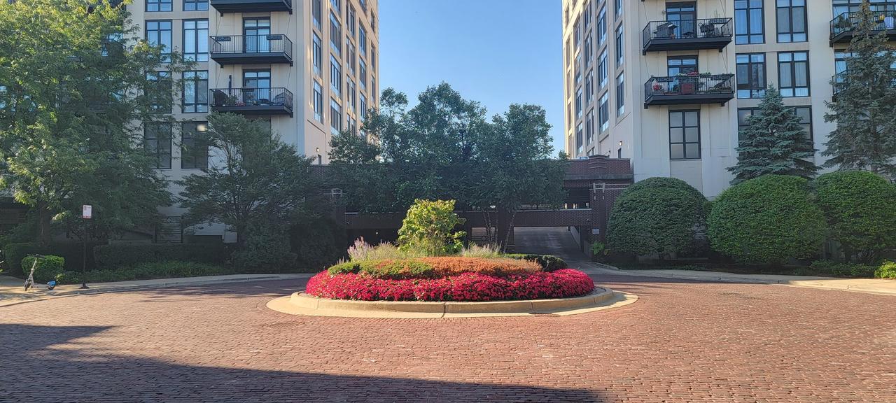 1525 S Sangamon St. #711, Chicago, IL 60608