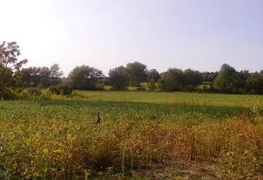 Lot 8 S 80th Ave., Monee, IL 60449