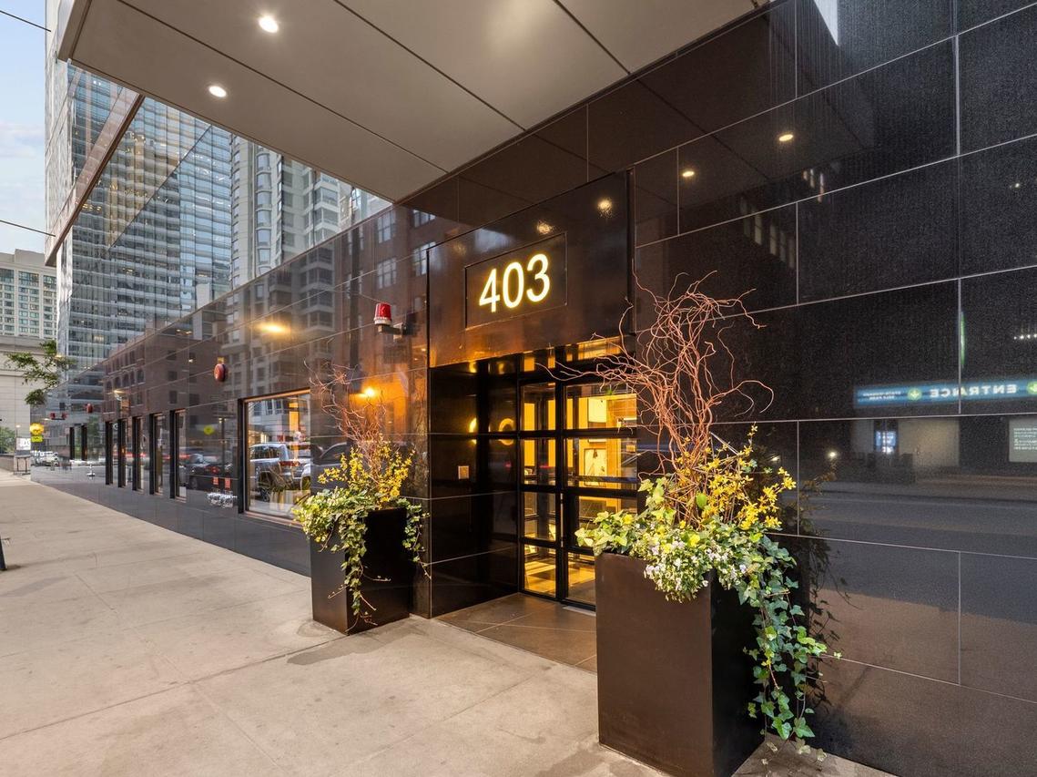 403 N Wabash Ave. #17C, Chicago, IL 60611