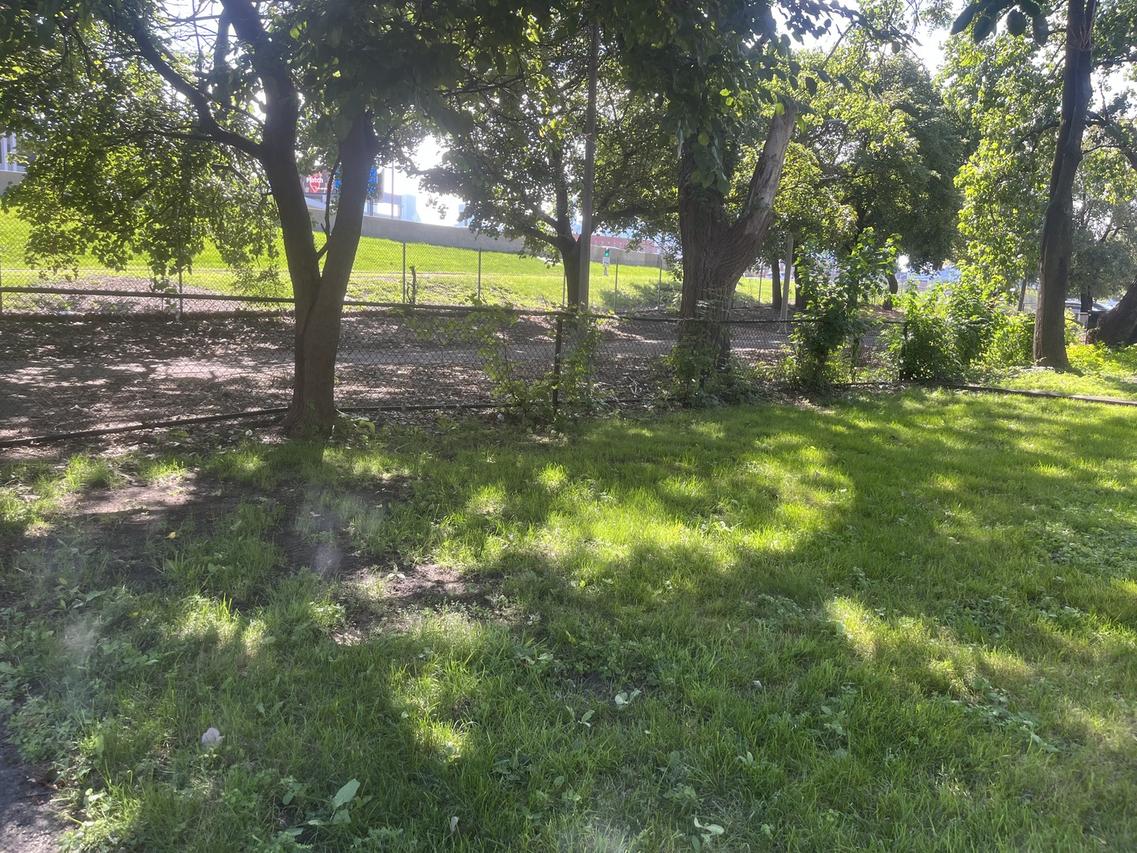 1337 W Haddon Ave., Chicago, IL 60622