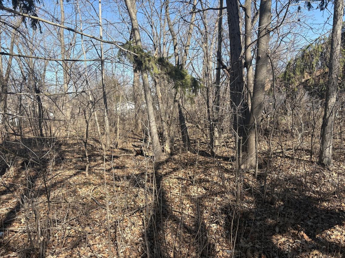 25118 W Catherine Ave., Antioch, IL 60002