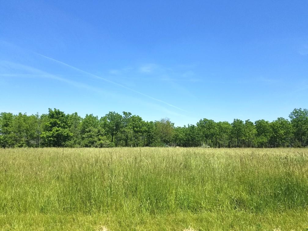 Lot 78 Lake Wildwood Dr., Varna, IL 61375