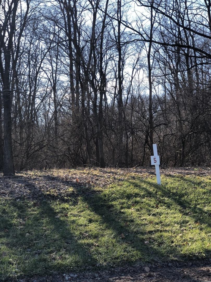 Lot 5 Oak Meadow Ct. Oak Meadow Ct. Ct., Homer Glen, IL 60491