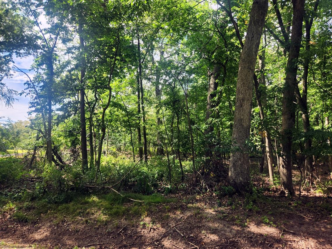 Lot 679 Rollingwood Pl., Varna, IL 61375