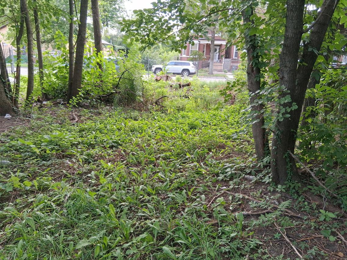 7149 S Champlain Ave., Chicago, IL 60619