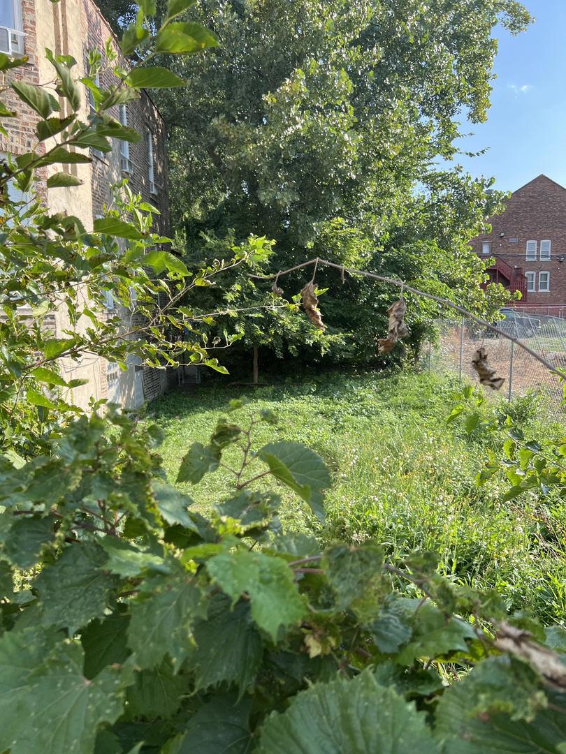 2653 W Adams St., Chicago, IL 60612