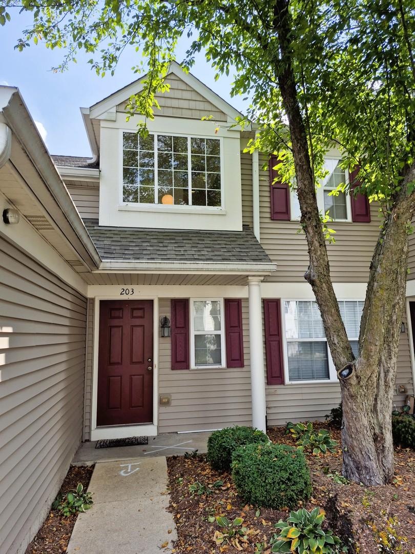 2219 Waterleaf Ct. #203, Naperville, IL 60564