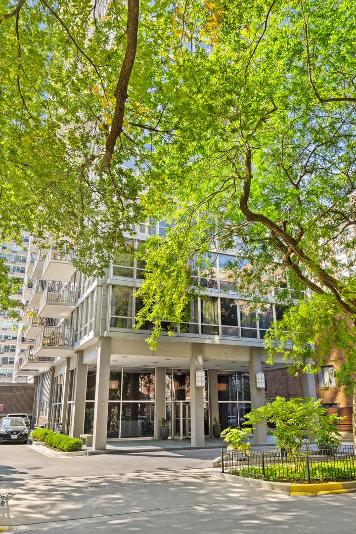 339 W Barry Ave. #10C, Chicago, IL 60657