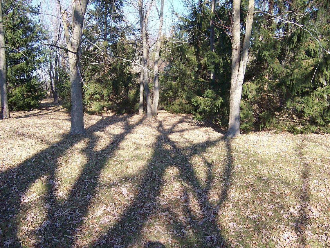 7n938 Route 47 Hwy., Maple Park, IL 60151