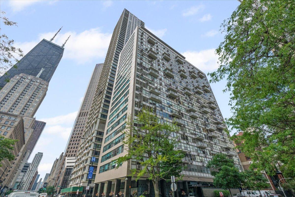1000 N Lake Shore Dr. #1105, Chicago, IL 60611