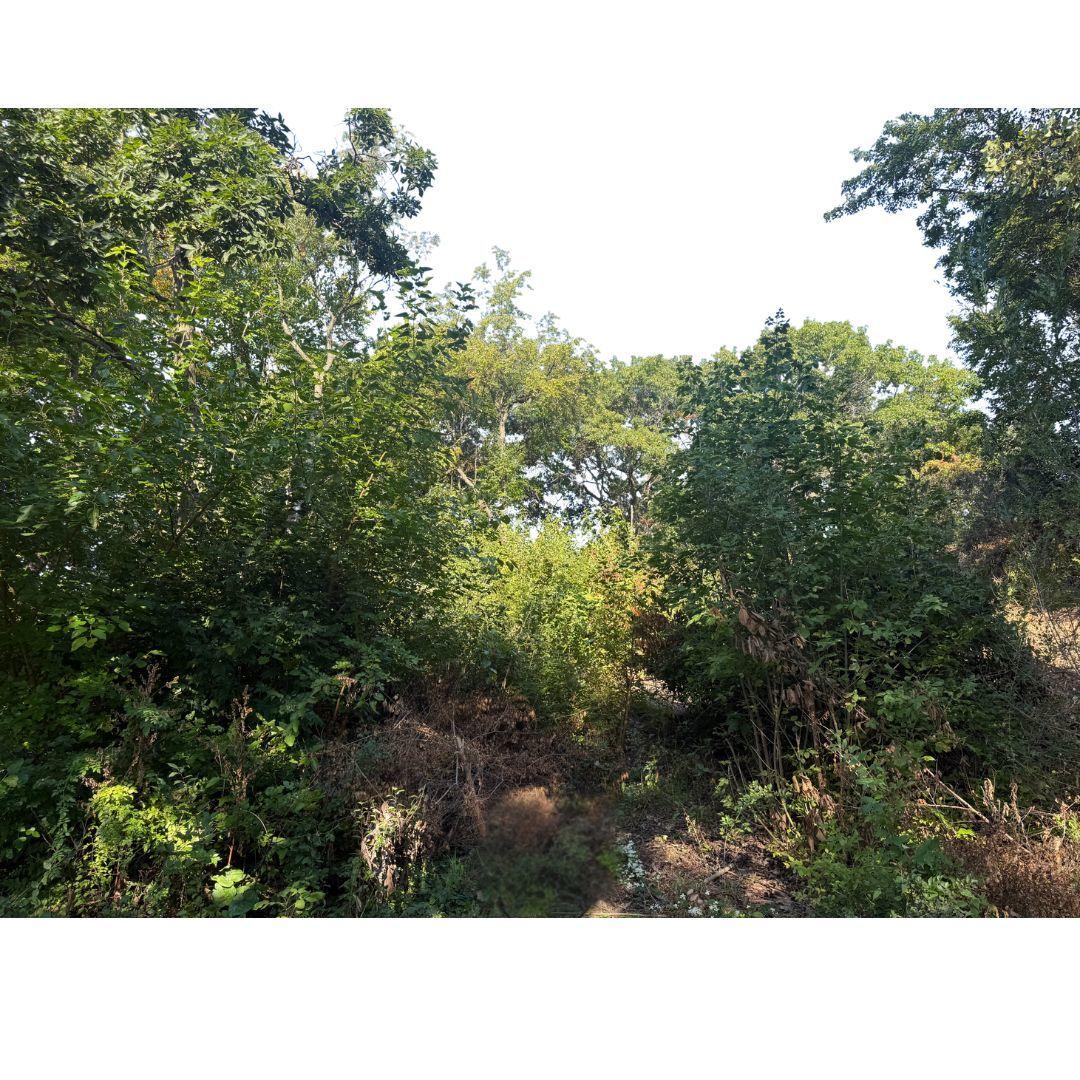 2905 Rose Marie Dr., Wonder Lake, IL 60097