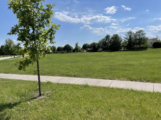 25102 Old Oak Ln., Shorewood, IL 60404