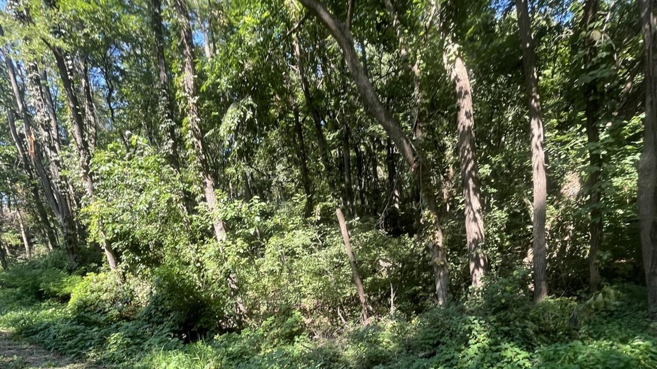 7 W Arrowhead Dr., Galena, IL 61036