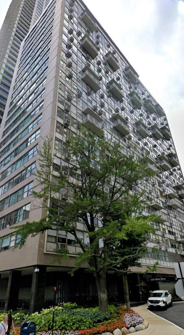 1000 N Lake Shore Dr. #1007, Chicago, IL 60611