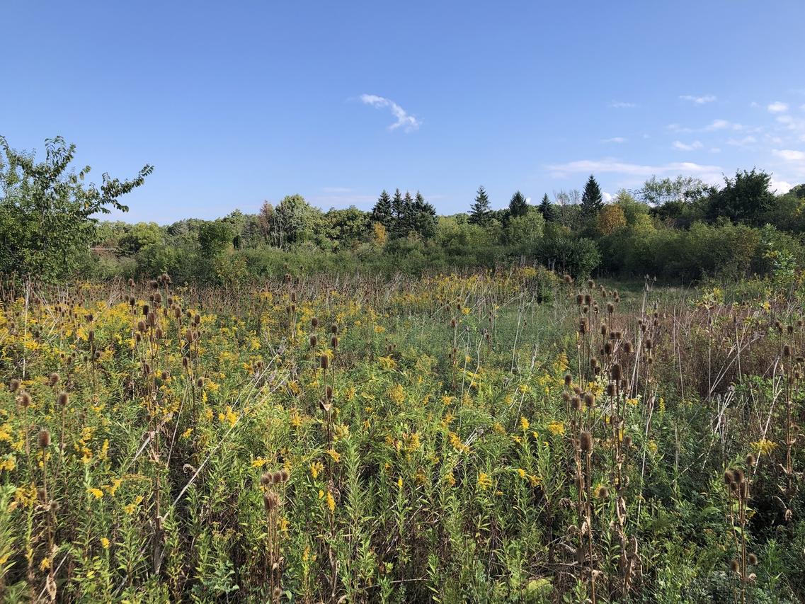 8 Alexandra Dr., Mettawa, IL 60048