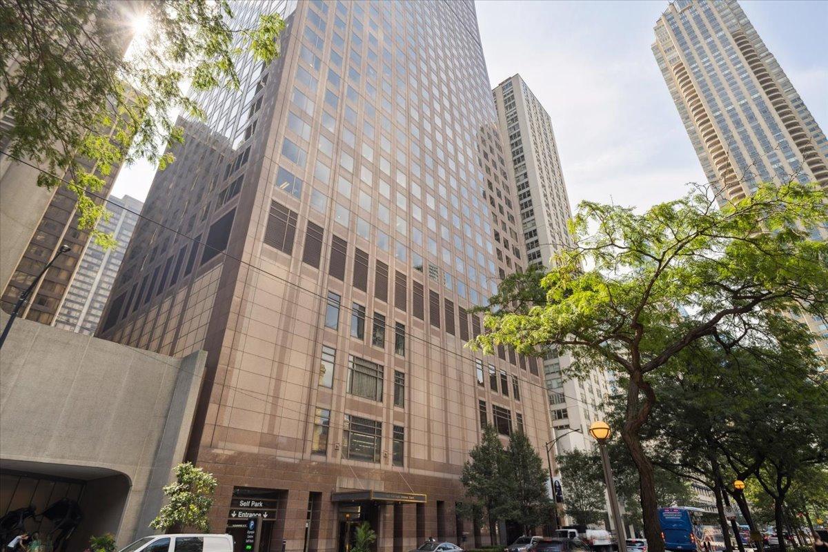 161 E Chicago Ave. #58K2, Chicago, IL 60611