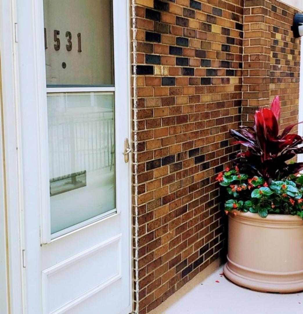1531 N Sandburg Ter., Chicago, IL 60610