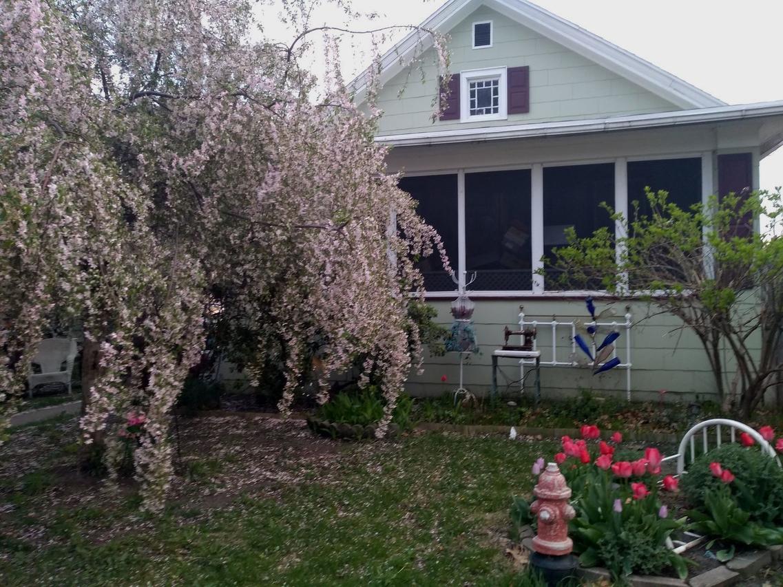 542 8th St., Lasalle, IL 61301