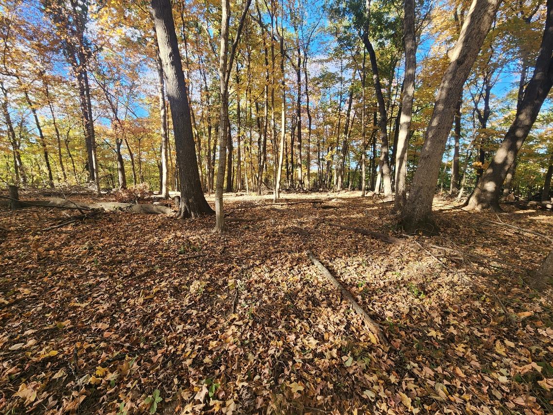 Lot 1783/84 Blueberry Dr., Varna, IL 61375
