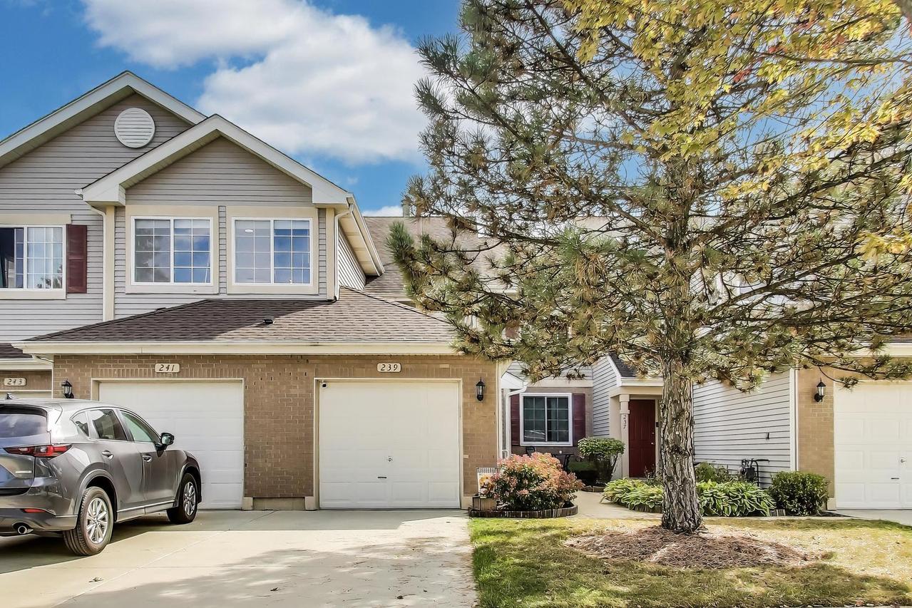 239 Camel Bend Ct., Schaumburg, IL 60194
