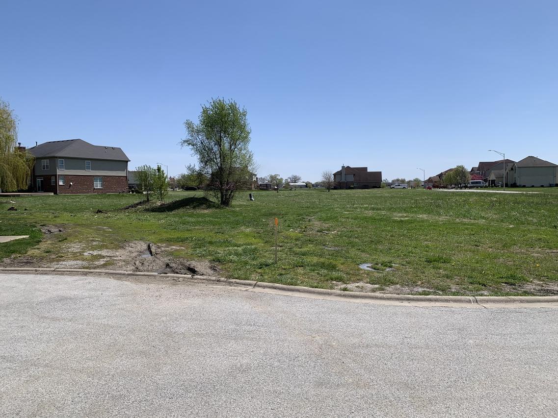 19641 Christina Pl., Lynwood, IL 60411