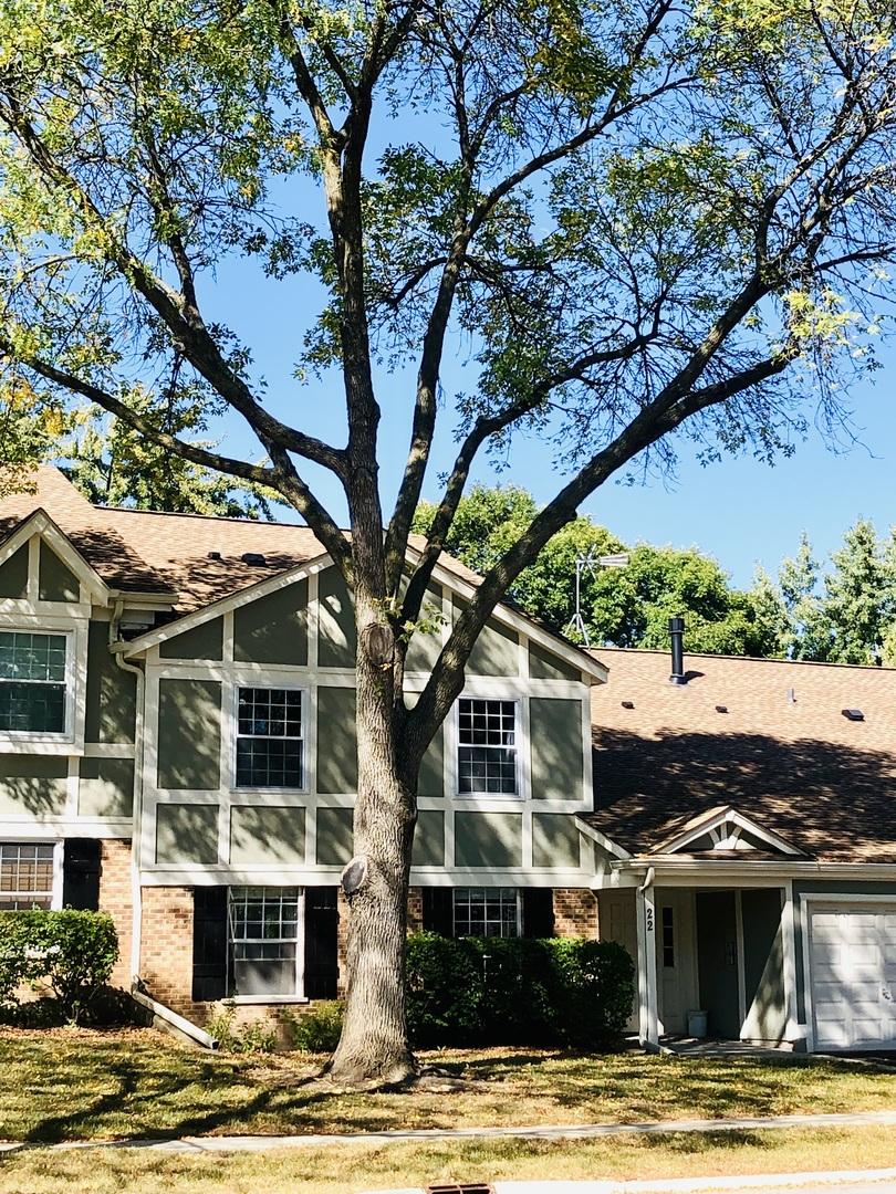 22 Waterbury Ln. #N1, Schaumburg, IL 60193