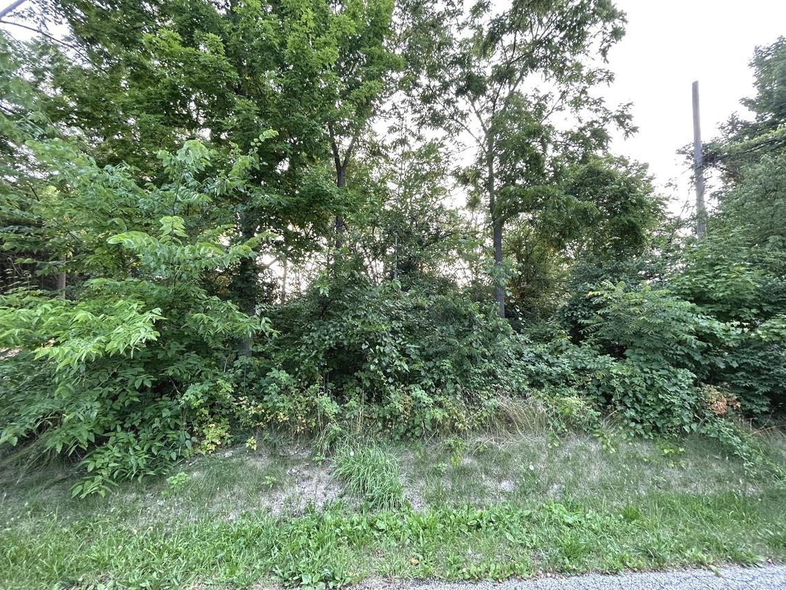 Lear St., Wonder Lake, IL 60097