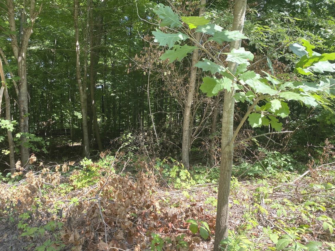 2184-2266 S 150000 E Rd., Pembroke Twp, IL 60958