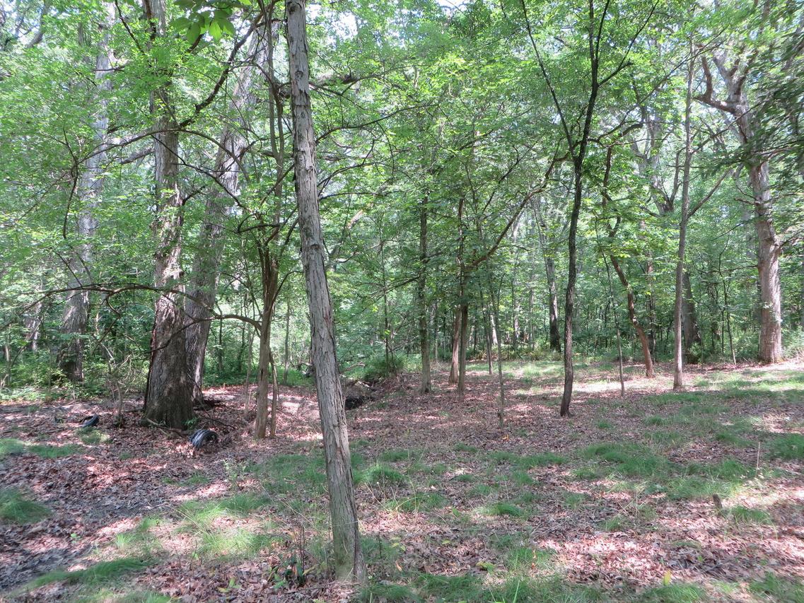 Six Mile Grove Sub 04-31-14e, Momence, IL 60954