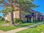 New Homes with Master Bedrooms on the 1st Floor in Harwood Heights: October 4th to October 10th