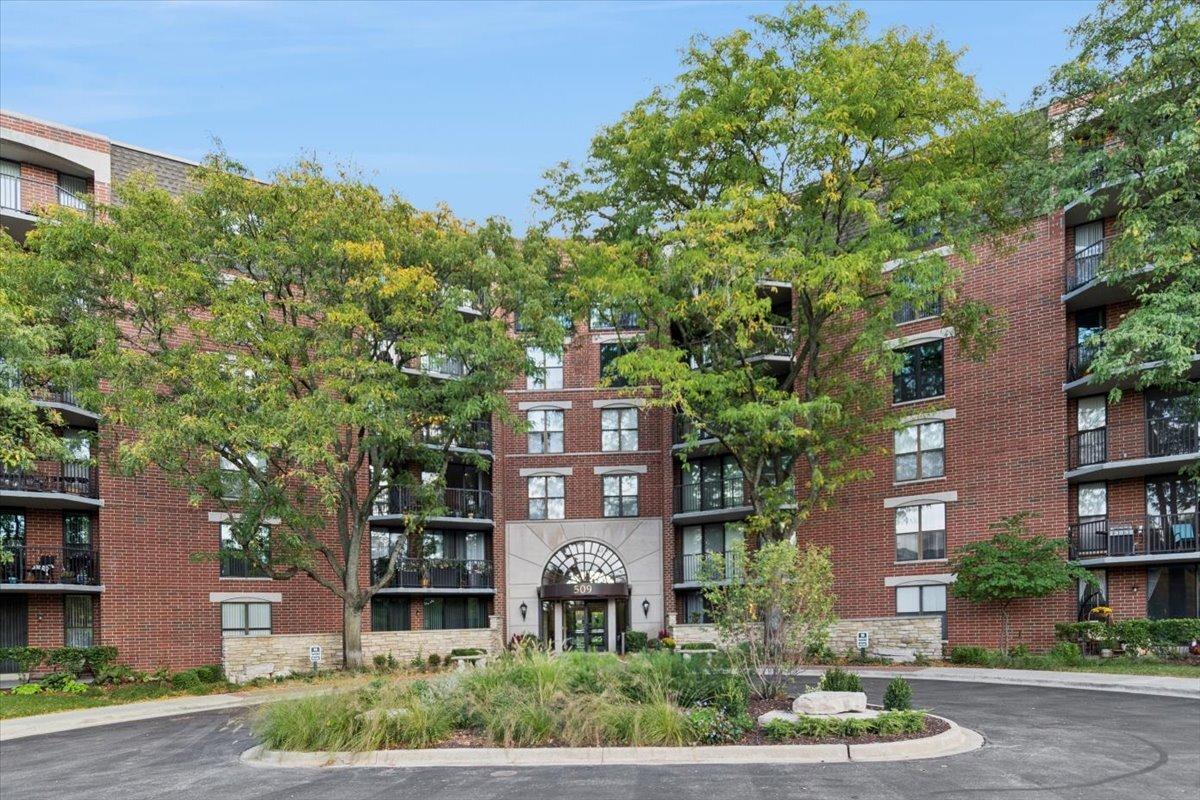 509 Aurora Ave. #209, Naperville, IL 60540