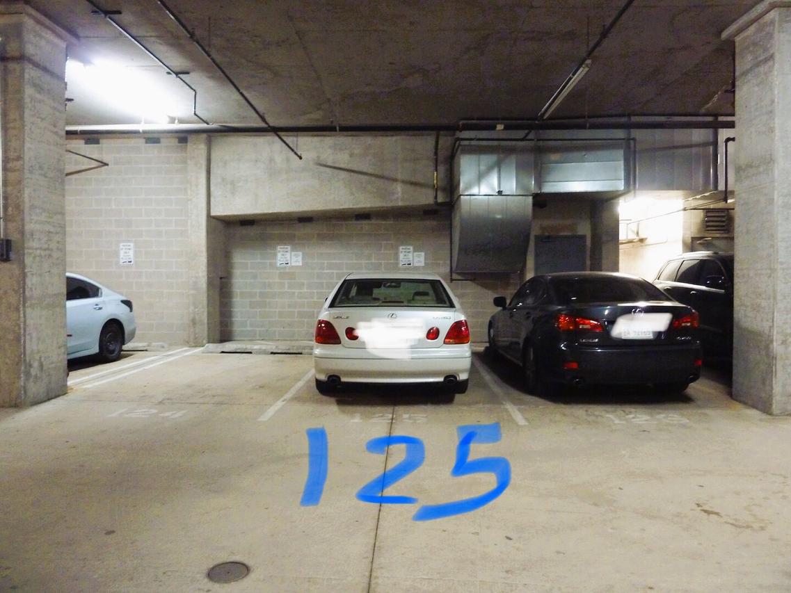 1250 S Michigan Ave. #Parking125, Chicago, IL 60605