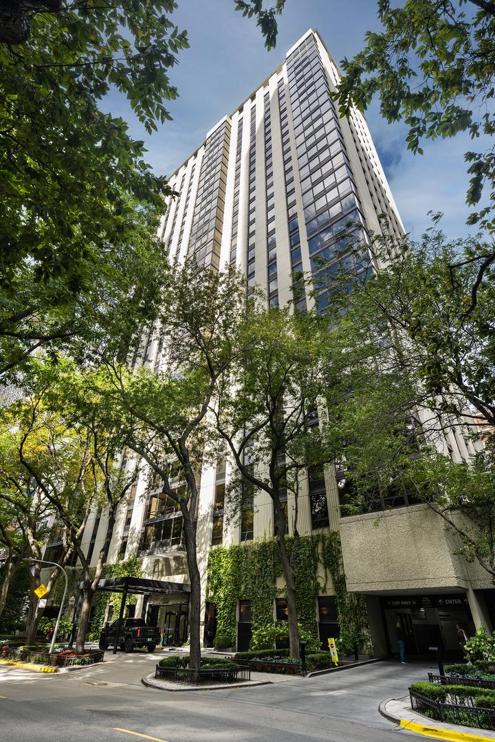 100 E Bellevue Pl. #5E, Chicago, IL 60611
