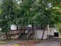New Homes For Sale This Week in Arlington Heights: October 3rd to October 9th