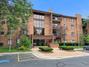 New Homes with Master Bedrooms on the 1st Floor That Attend Lace Elementary School: October 4th to October 10th