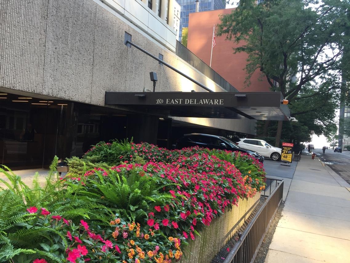 200 E Delaware Pl. #5D, Chicago, IL 60611