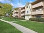 New Homes with Master Bedrooms on the 1st Floor That Attend Vernon Hills High School: October 18th to October 24th