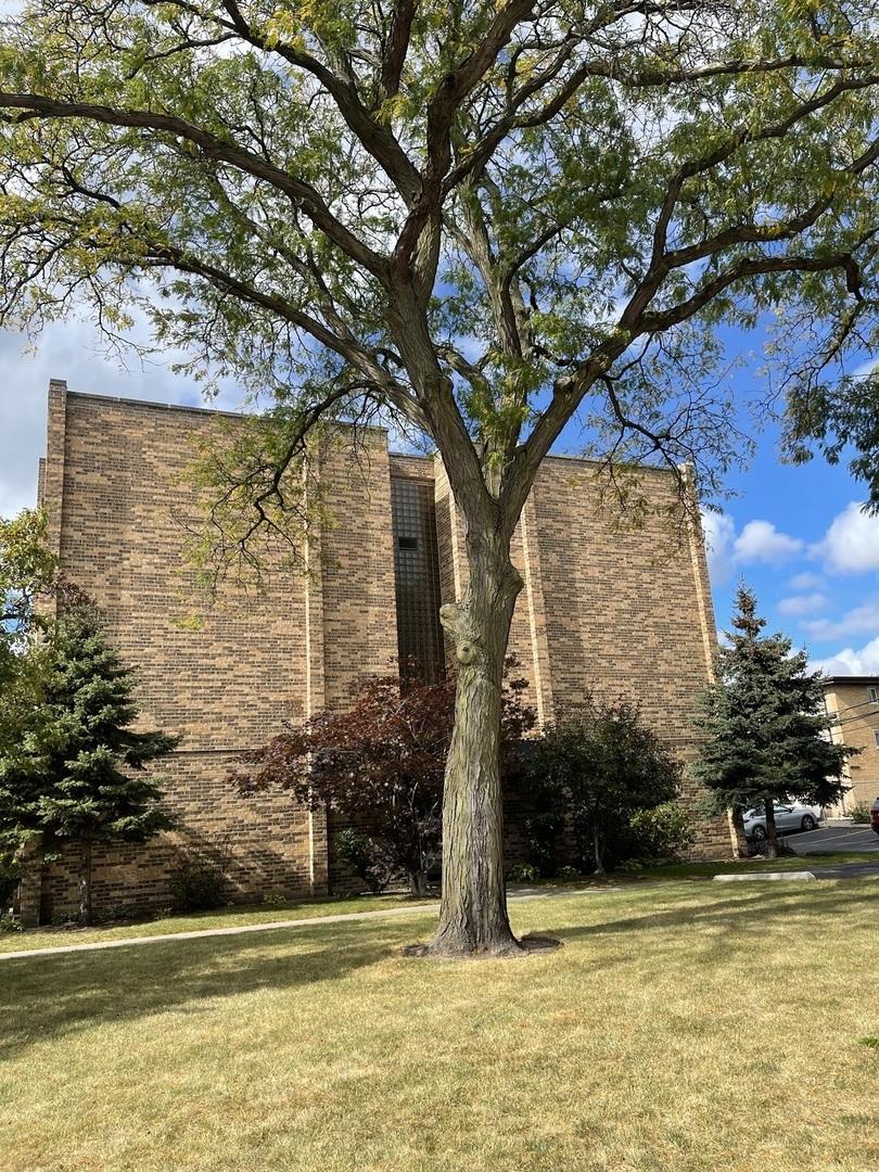 6400 N Ridge Blvd. #203, Chicago, IL 60626